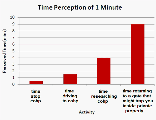 nonlinear time perception
