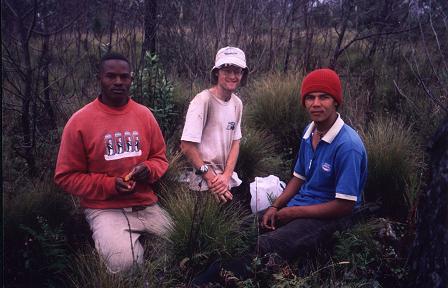 summit of Gajo en Medio