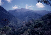 Looking back at Cerro Chirripó from the trail