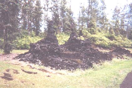 Lava Tree