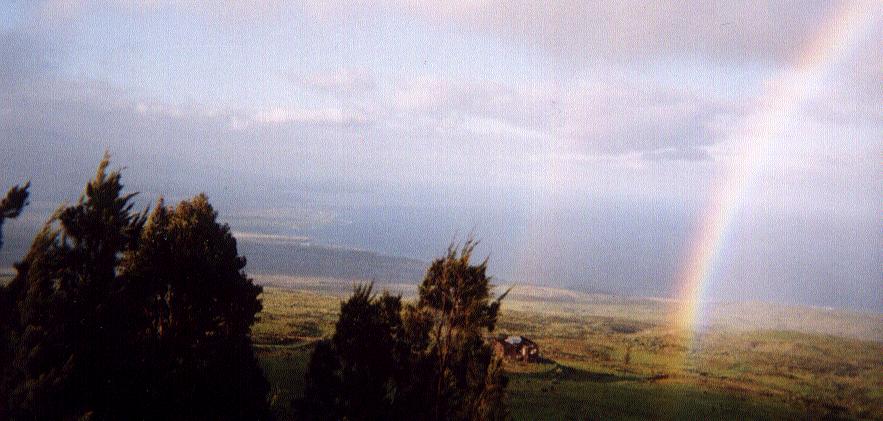 northwest coast of Big Island