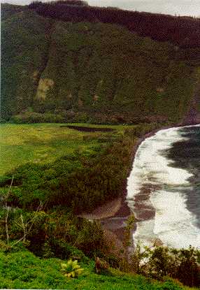 Waipio Valley