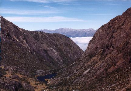 view to Laguna La Coromoto