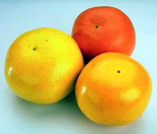 three grapefruit