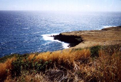 south coast of Big Island