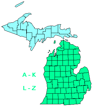 Michigan Regional Map