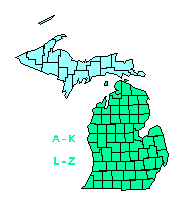 Small Michigan State Map