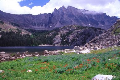 Mount Wood panorama