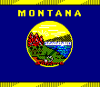 Montana State Flag