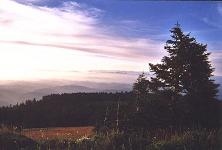 Marys Peak and coast ranges