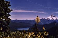 Mount Hood from Buck Peak