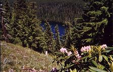 Buck Peak lake and wildflowers