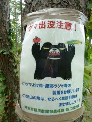 bear warning!