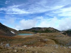 toxic green lake