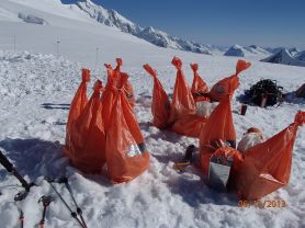 food bags