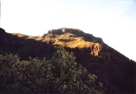 cholla with slope