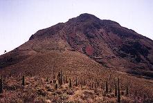 summit of Sandia