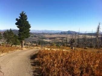 vista north