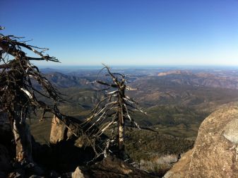 vista northwest