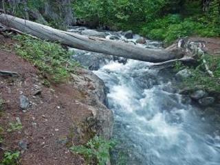 log crossing