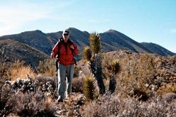 Bob, yucca, summit