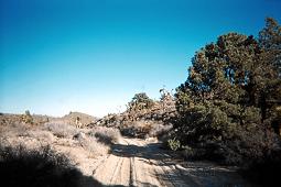 sandy road