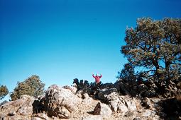 Bob at summit