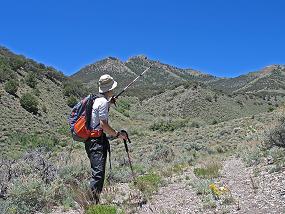 Wildcat Peak