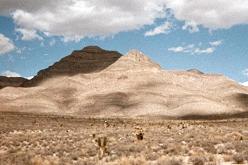 desert shadows