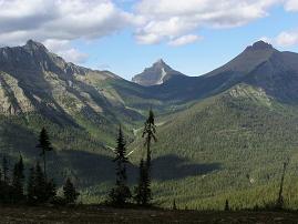 high camp view