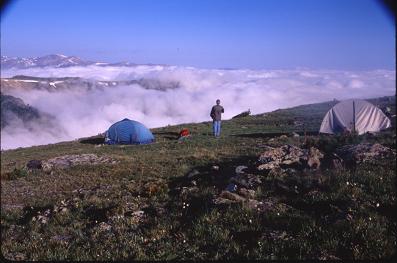 high camp