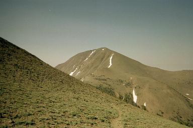 Arc Dome