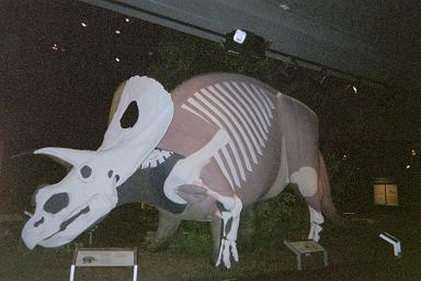 dinosaur