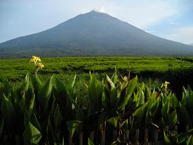 Kerinci