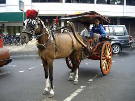 rickshaw