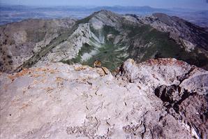 from Naomi Peak summit